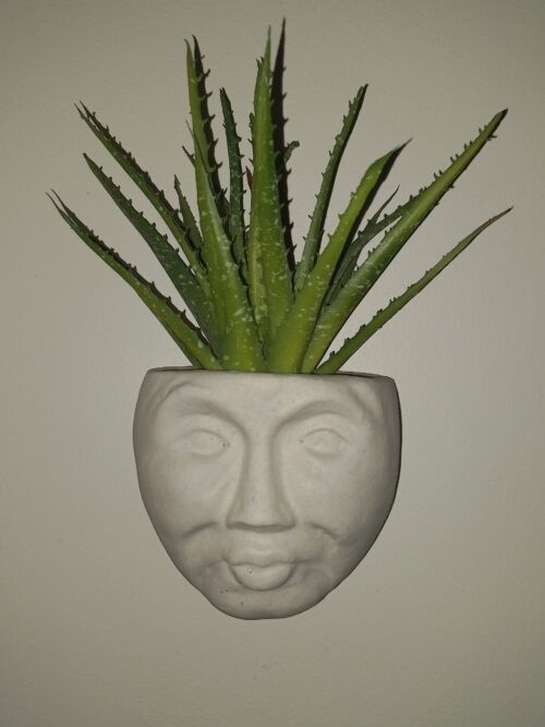 Echo Planter