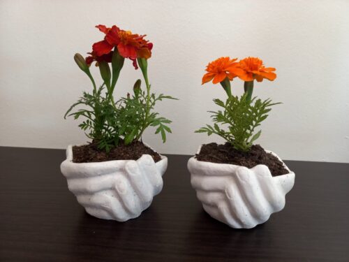 Small Hands Planter